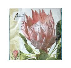 Robas Napkins Protea (CASE OF 12 x 115g)